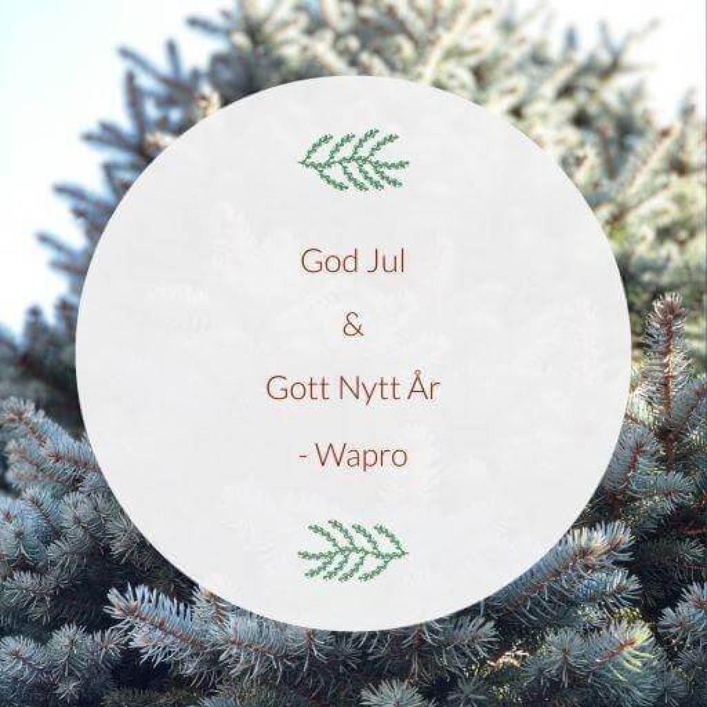 Hälsning God Jul & Gott Nytt År