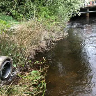 stormwater-stopped-by-wastop-jamshog-us Creek water flow beside pipe secured with WaStop check valve