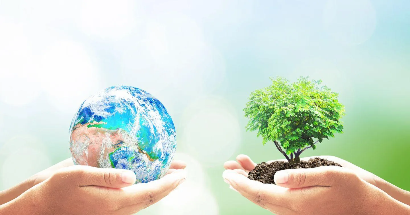 Hands holding a globe and a small tree in soil, symbolising the environmental effects of flooding